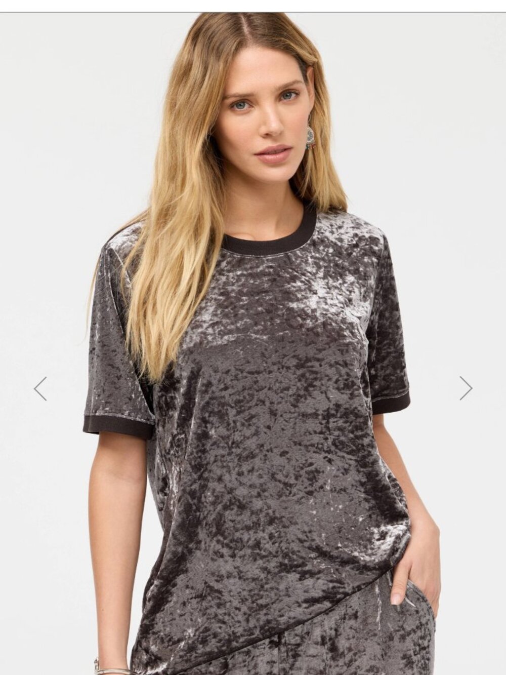 Johnny Was Gray Crushed Velvet Short Sleeve Tee Top | XS | Luxe Boho